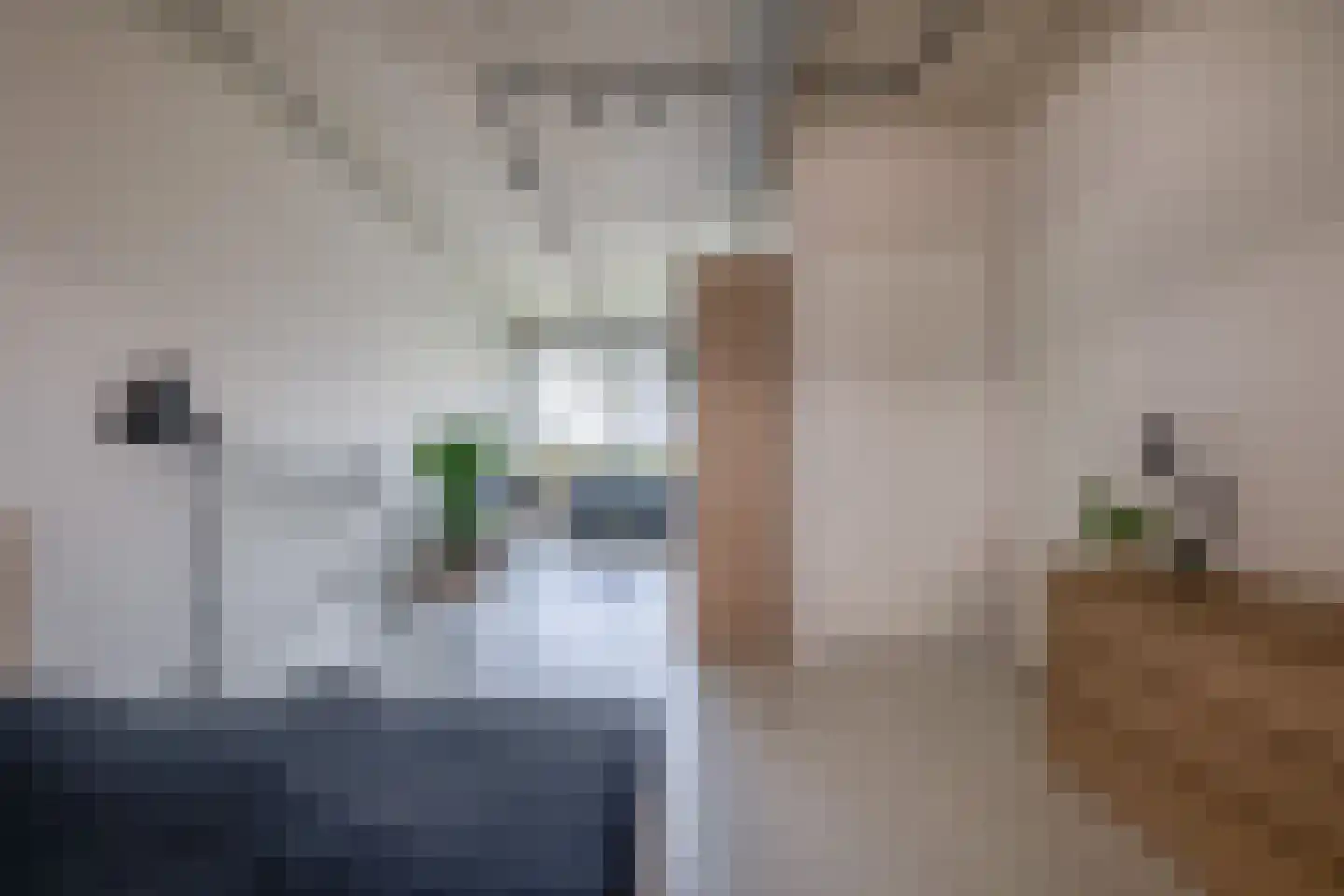 Philitelaan 57 012 Eindhoven thumbnail 36