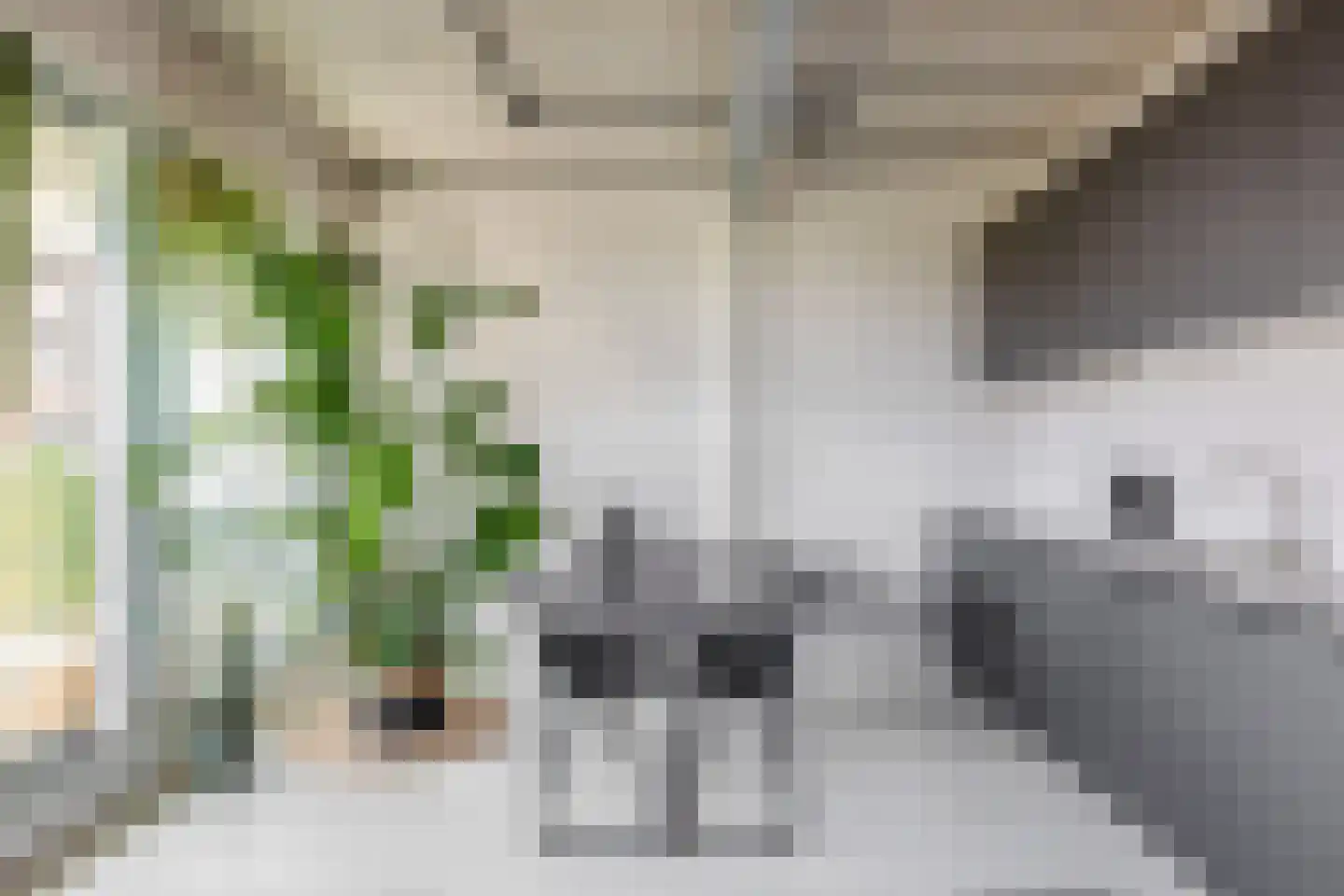 Philitelaan 57 012 Eindhoven thumbnail 8
