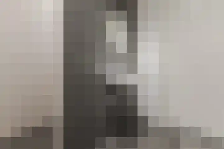 Philitelaan 57 216 Eindhoven thumbnail 18