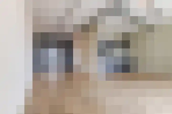 Philitelaan 57 216 Eindhoven thumbnail 6