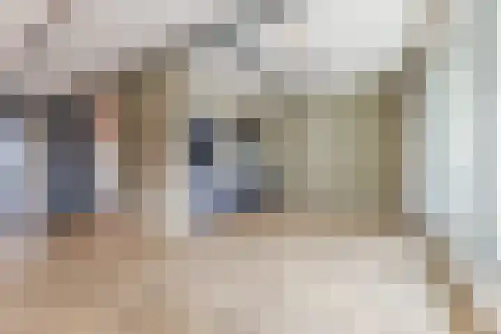 Philitelaan 57 216 Eindhoven thumbnail 7