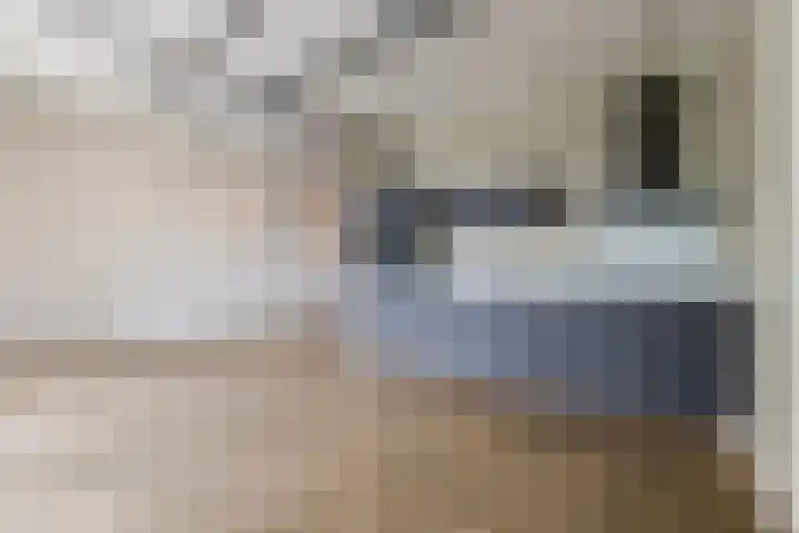 Philitelaan 57 216 Eindhoven thumbnail 9