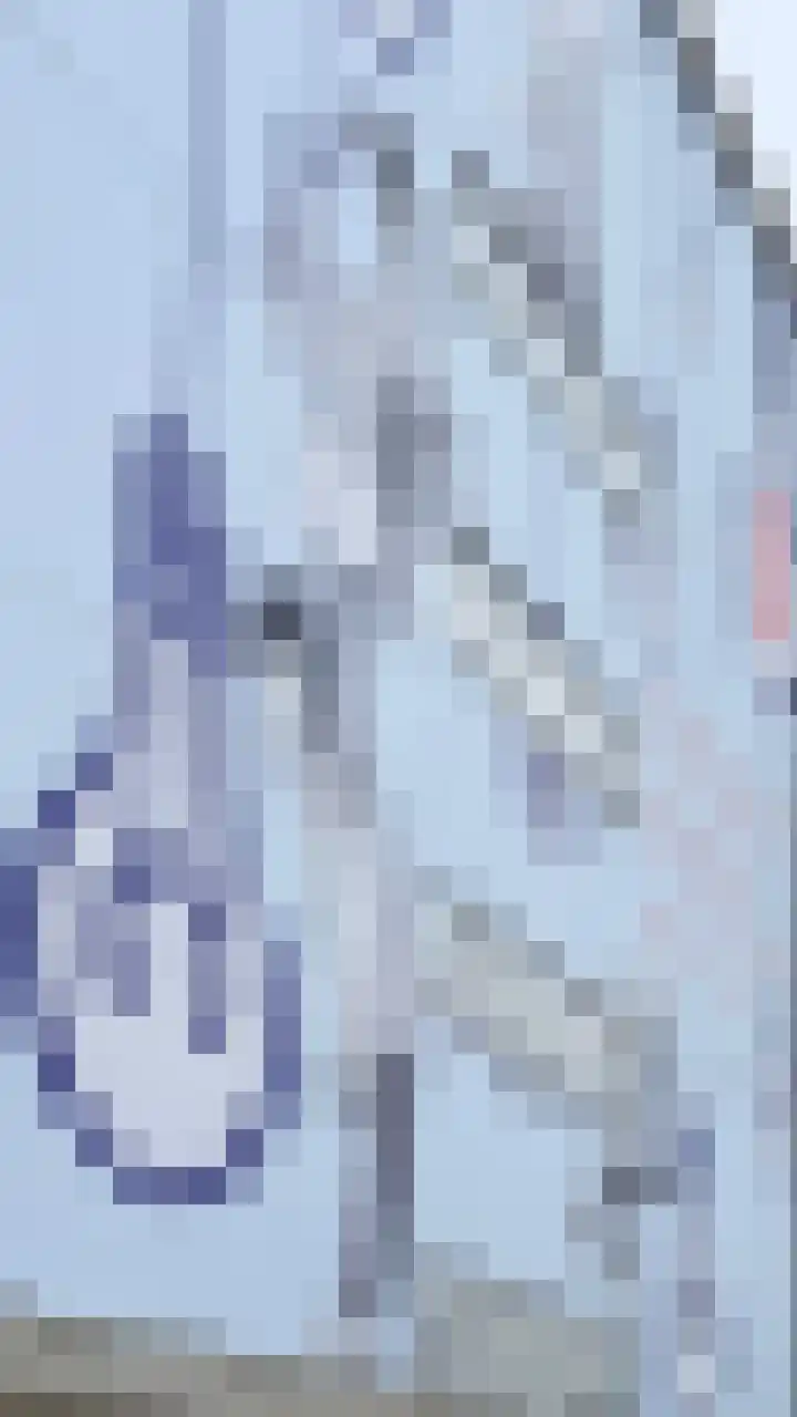 Philitelaan 57 318 Eindhoven thumbnail 28