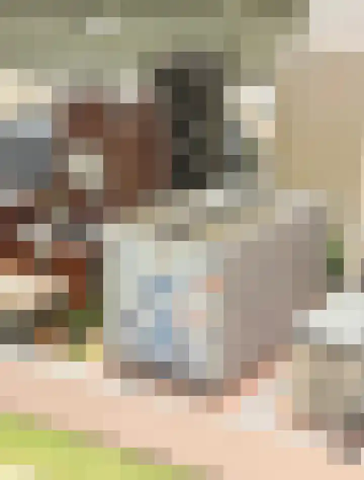 Philitelaan 57 318 Eindhoven thumbnail 35