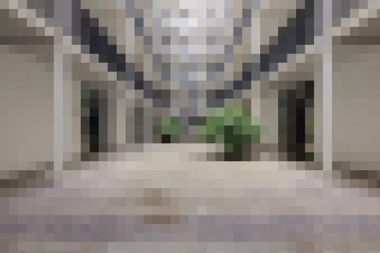 Philitelaan 63 101 Eindhoven thumbnail 10