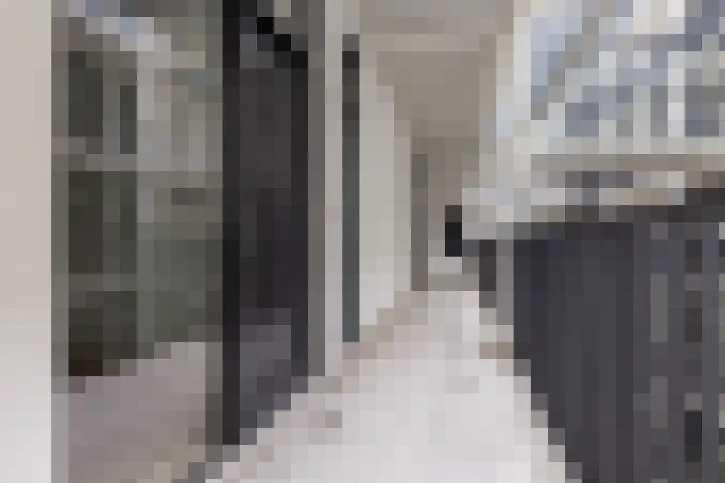 Philitelaan 63 101 Eindhoven thumbnail 12