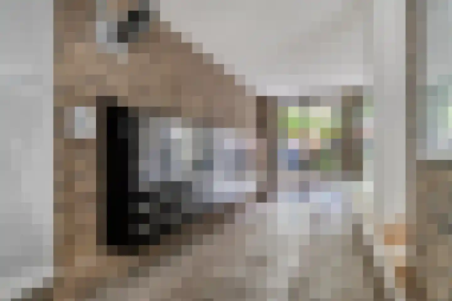 Philitelaan 63 101 Eindhoven thumbnail 9