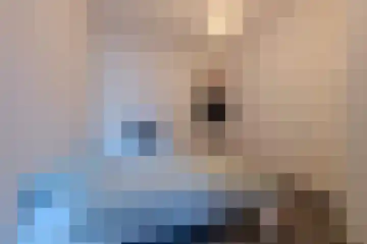 Philitelaan 63 143 Eindhoven thumbnail 26