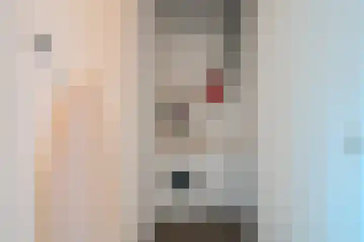 Philitelaan 63 143 Eindhoven thumbnail 29
