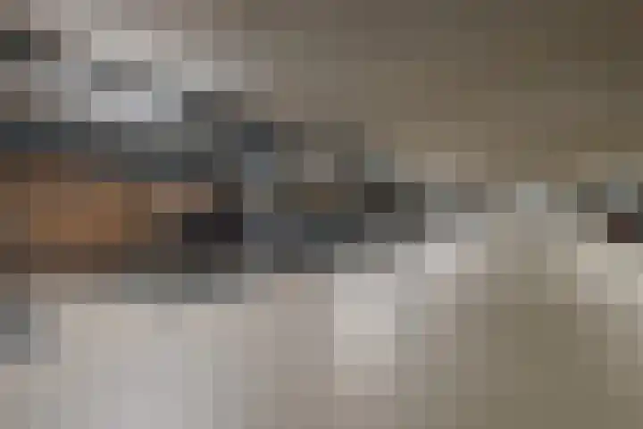 Philitelaan 63 143 Eindhoven thumbnail 30