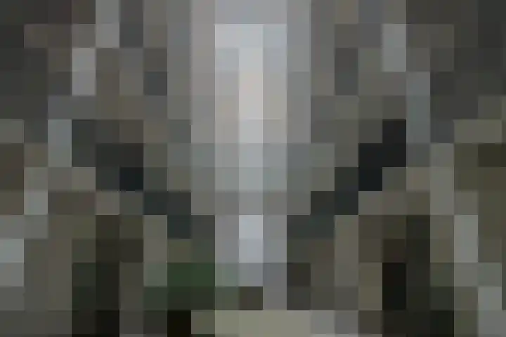 Philitelaan 63 143 Eindhoven thumbnail 32