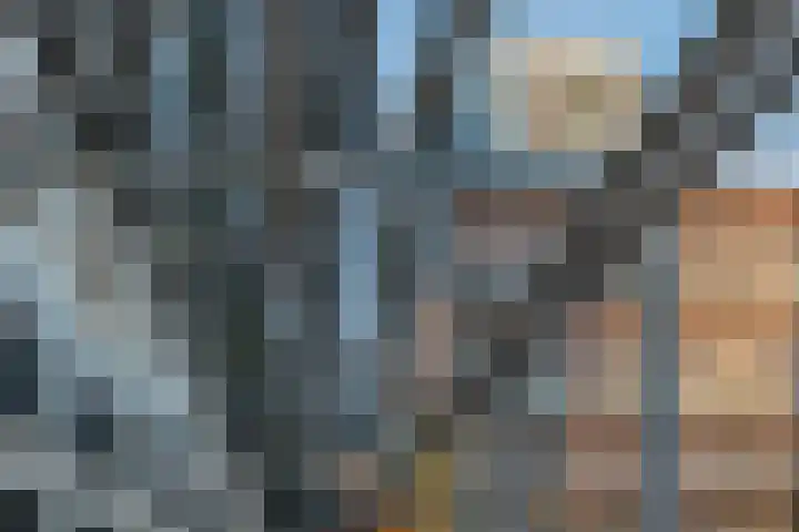 Philitelaan 63 143 Eindhoven thumbnail 38