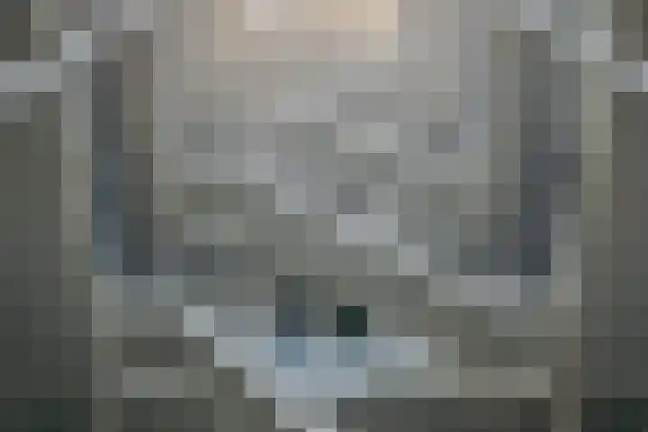 Philitelaan 63 143 Eindhoven thumbnail 6