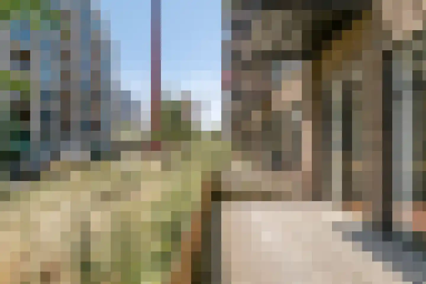 Philitelaan 63 15 Eindhoven thumbnail 26