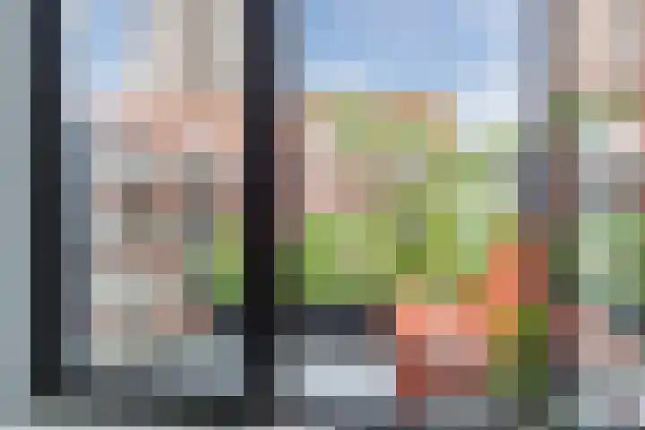 Philitelaan 63 157 Eindhoven thumbnail 11