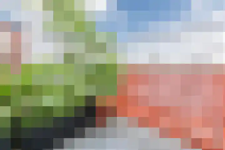 Philitelaan 63 157 Eindhoven thumbnail 12