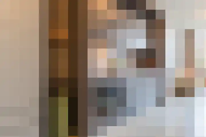 Philitelaan 63 157 Eindhoven thumbnail 15