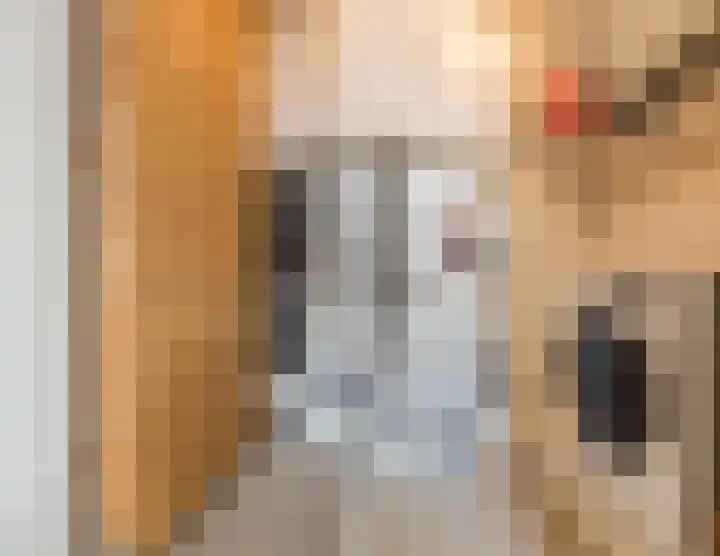 Philitelaan 63 157 Eindhoven thumbnail 23