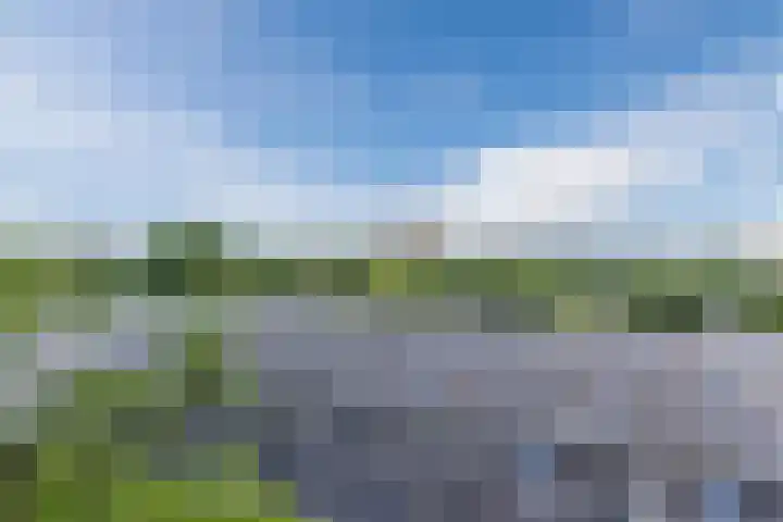 Philitelaan 63 157 Eindhoven thumbnail 24