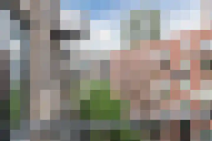Philitelaan 63 157 Eindhoven thumbnail 26