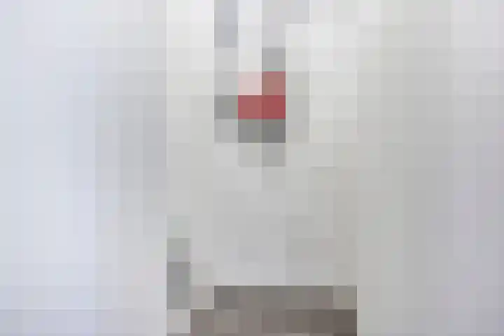 Philitelaan 63 171 Eindhoven thumbnail 24