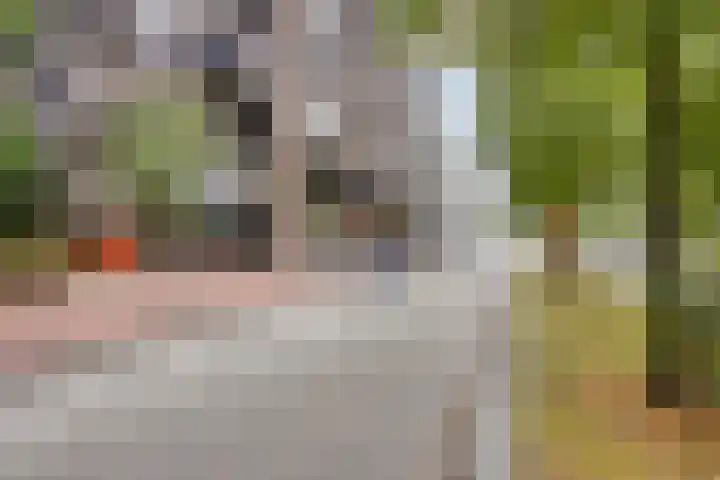 Philitelaan 63 171 Eindhoven thumbnail 30