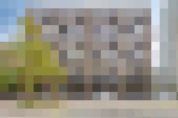 Philitelaan 63 171 Eindhoven thumbnail 5