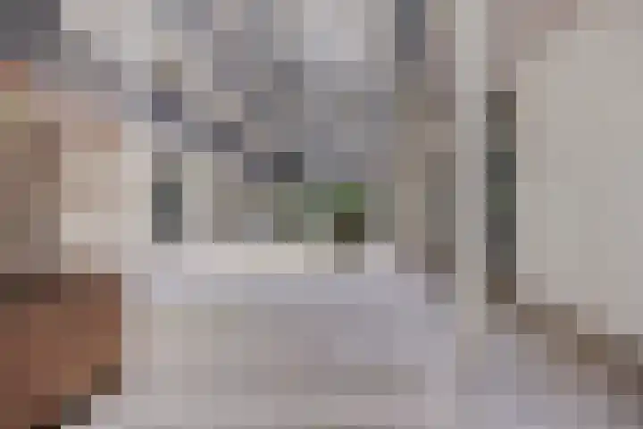 Philitelaan 63 171 Eindhoven thumbnail 7