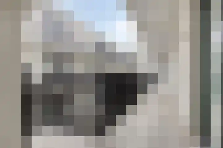 Philitelaan 63 171 Eindhoven thumbnail 8