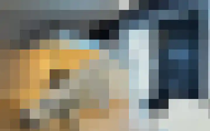 Philitelaan 63 185 Eindhoven thumbnail 16