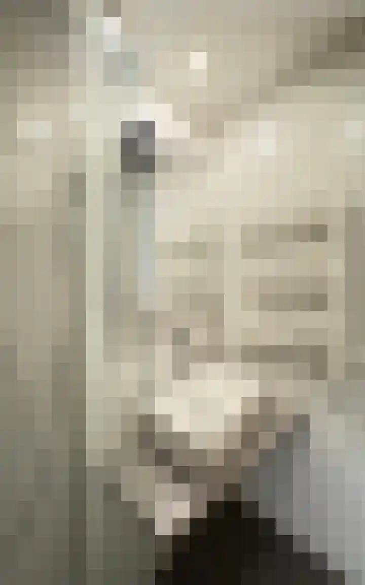 Philitelaan 63 185 Eindhoven thumbnail 20