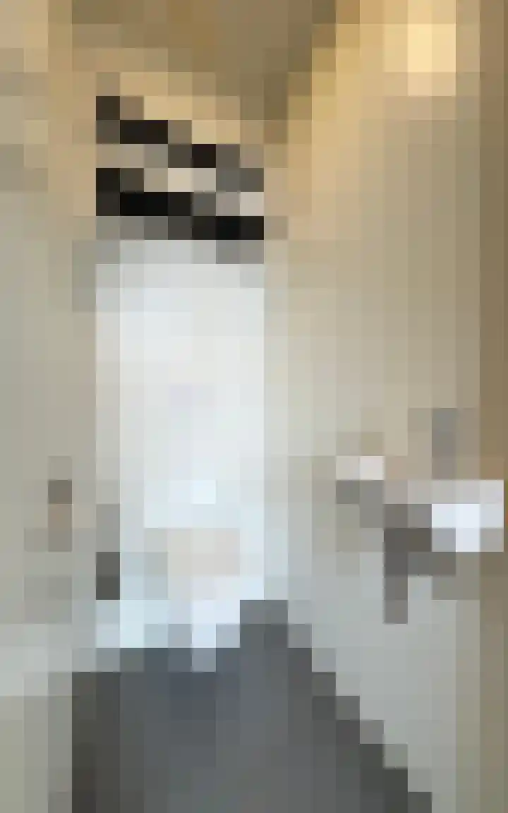 Philitelaan 63 185 Eindhoven thumbnail 22