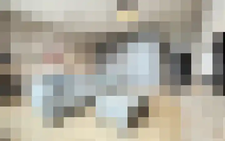 Philitelaan 63 185 Eindhoven thumbnail 24