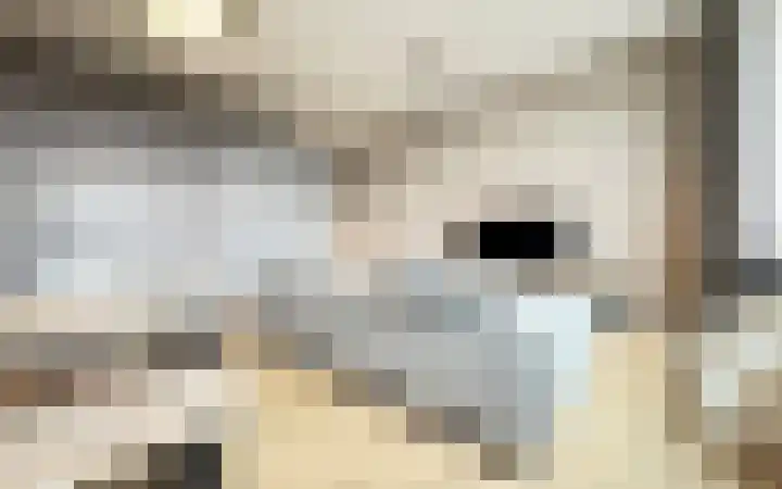 Philitelaan 63 185 Eindhoven thumbnail 26