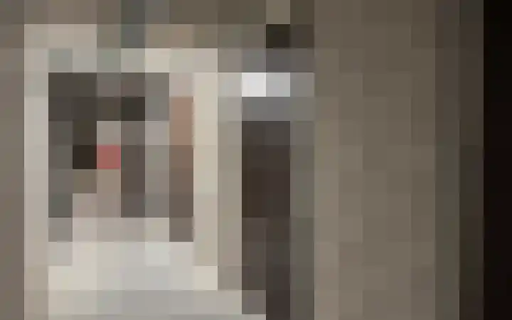 Philitelaan 63 185 Eindhoven thumbnail 33