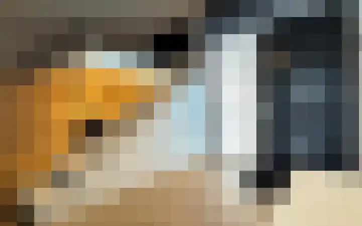 Philitelaan 63 185 Eindhoven thumbnail 4