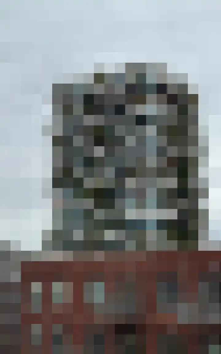 Philitelaan 63 185 Eindhoven thumbnail 40