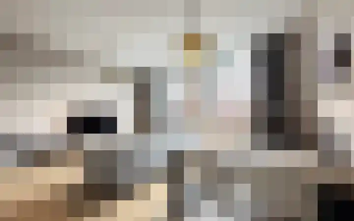 Philitelaan 63 185 Eindhoven thumbnail 6