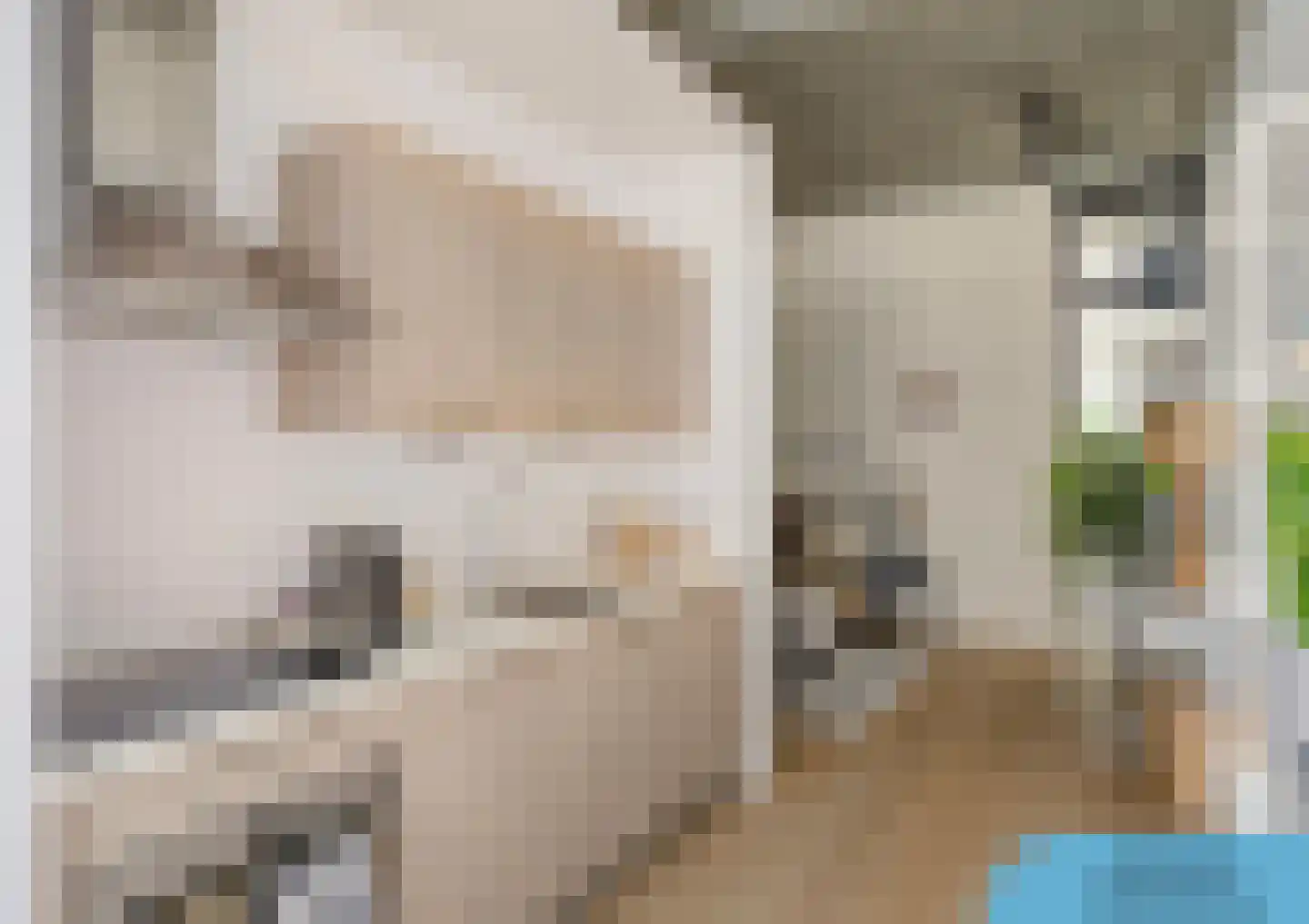 Philitelaan 63 195 Eindhoven thumbnail 18