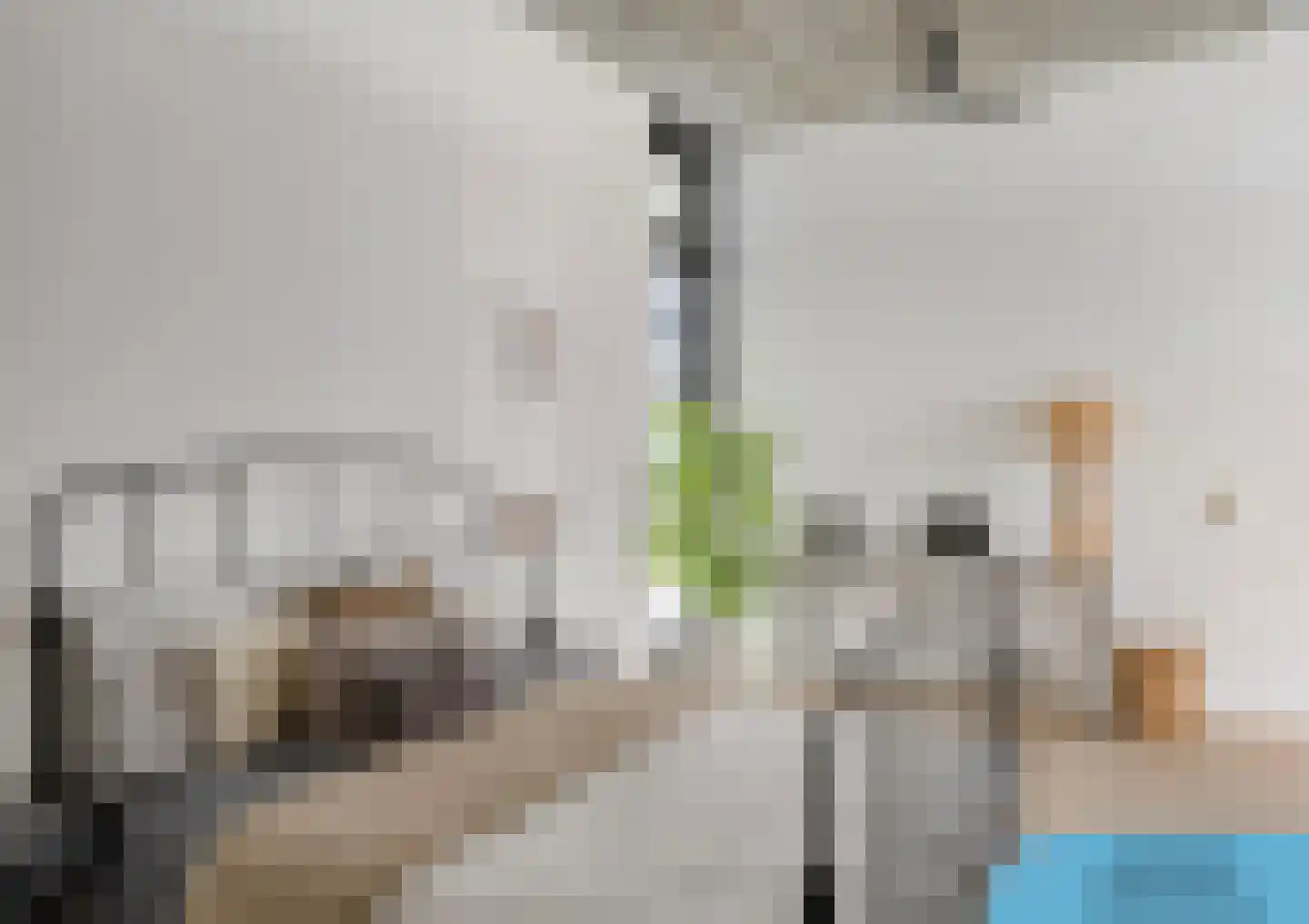 Philitelaan 63 195 Eindhoven thumbnail 22