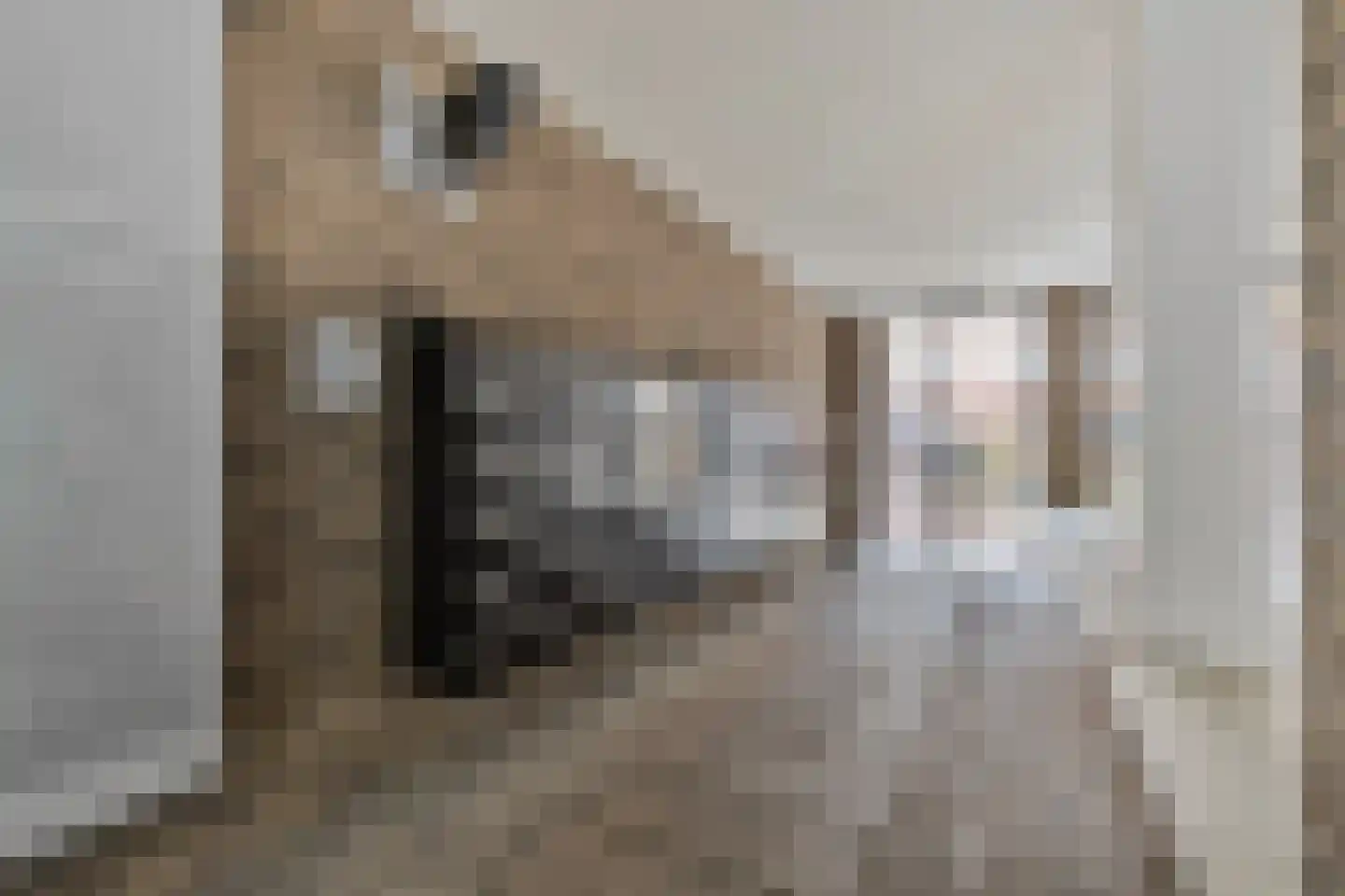Philitelaan 63 195 Eindhoven thumbnail 30
