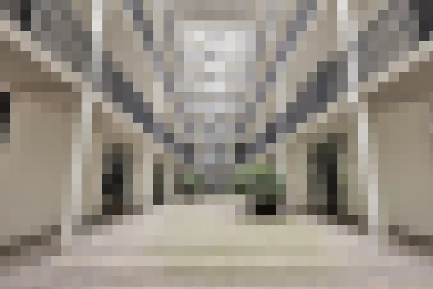 Philitelaan 63 195 Eindhoven thumbnail 6