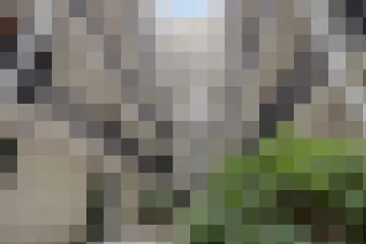 Philitelaan 63 199 Eindhoven thumbnail 10