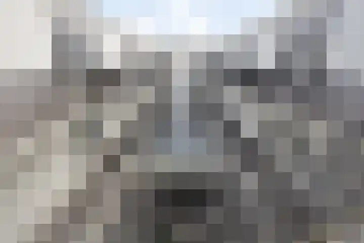 Philitelaan 63 199 Eindhoven thumbnail 11