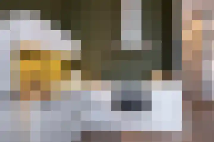Philitelaan 63 203 Eindhoven thumbnail 17