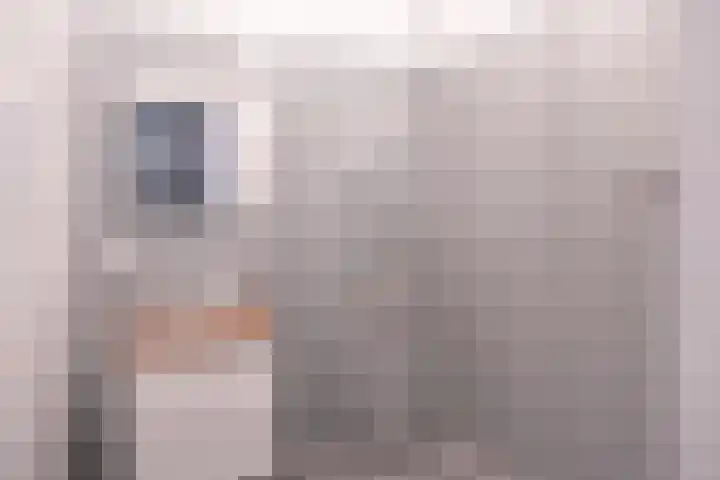 Philitelaan 63 203 Eindhoven thumbnail 23
