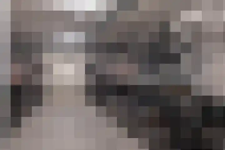 Philitelaan 63 203 Eindhoven thumbnail 24