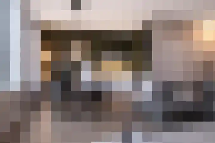 Philitelaan 63 203 Eindhoven thumbnail 5
