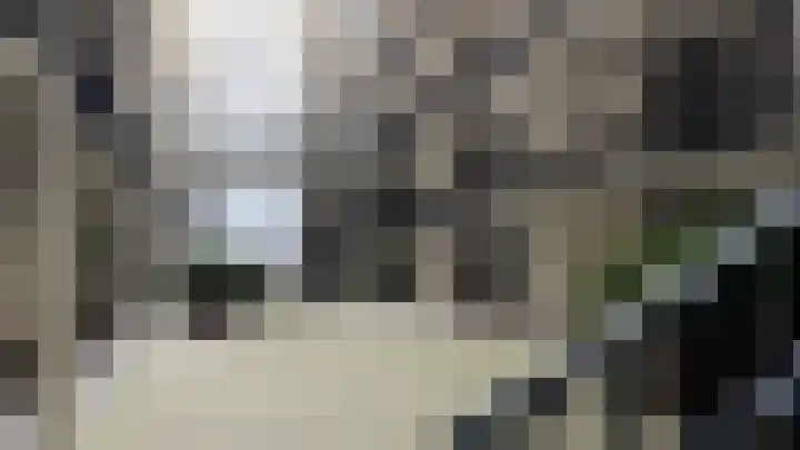 Philitelaan 63 203 Eindhoven thumbnail 9
