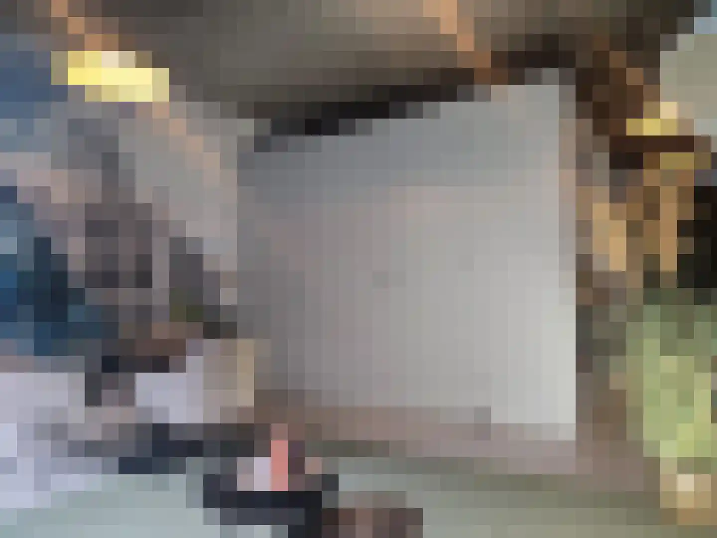 Philitelaan 63 33 Eindhoven thumbnail 12